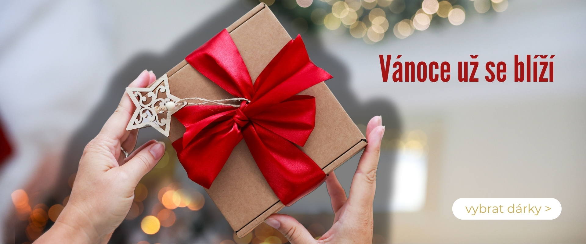 Vánoce 2025