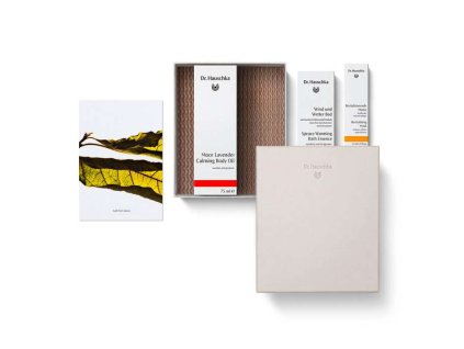 3252346 drhauschka gift set relaxed soul christmas 2025 complete box 05 420006629 350x350@2x