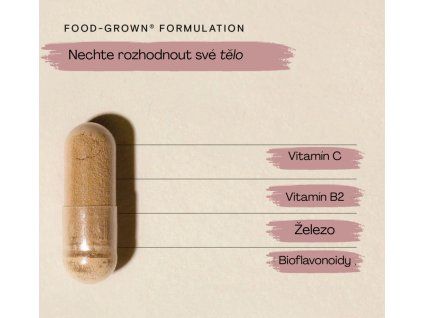 4c1699c26e3c99f424995ead4ab0ed2e fe 2