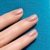 SHELL BEIGE 2b25ce2c 4881 4f0a 9784 1783541fc605