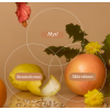 e84b24025fc2568b84db1955d68c2394 wm 3