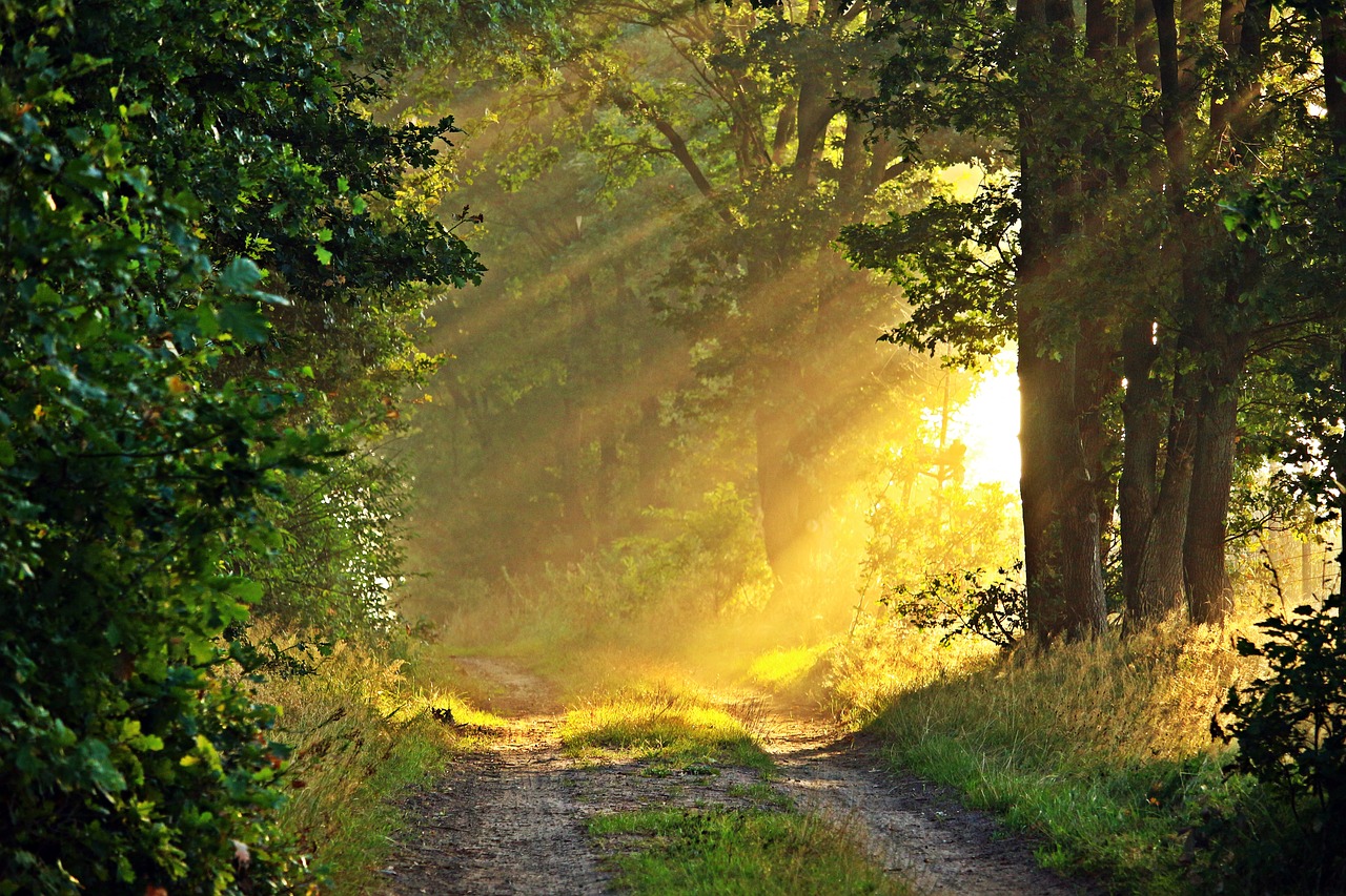 Jednoduchá meditace na čas po probuzení