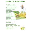 4b62b8bf67ab761c582af6d014bc3372 mustard oil fermented foods