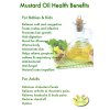 4b62b8bf67ab761c582af6d014bc3372 mustard oil fermented foods