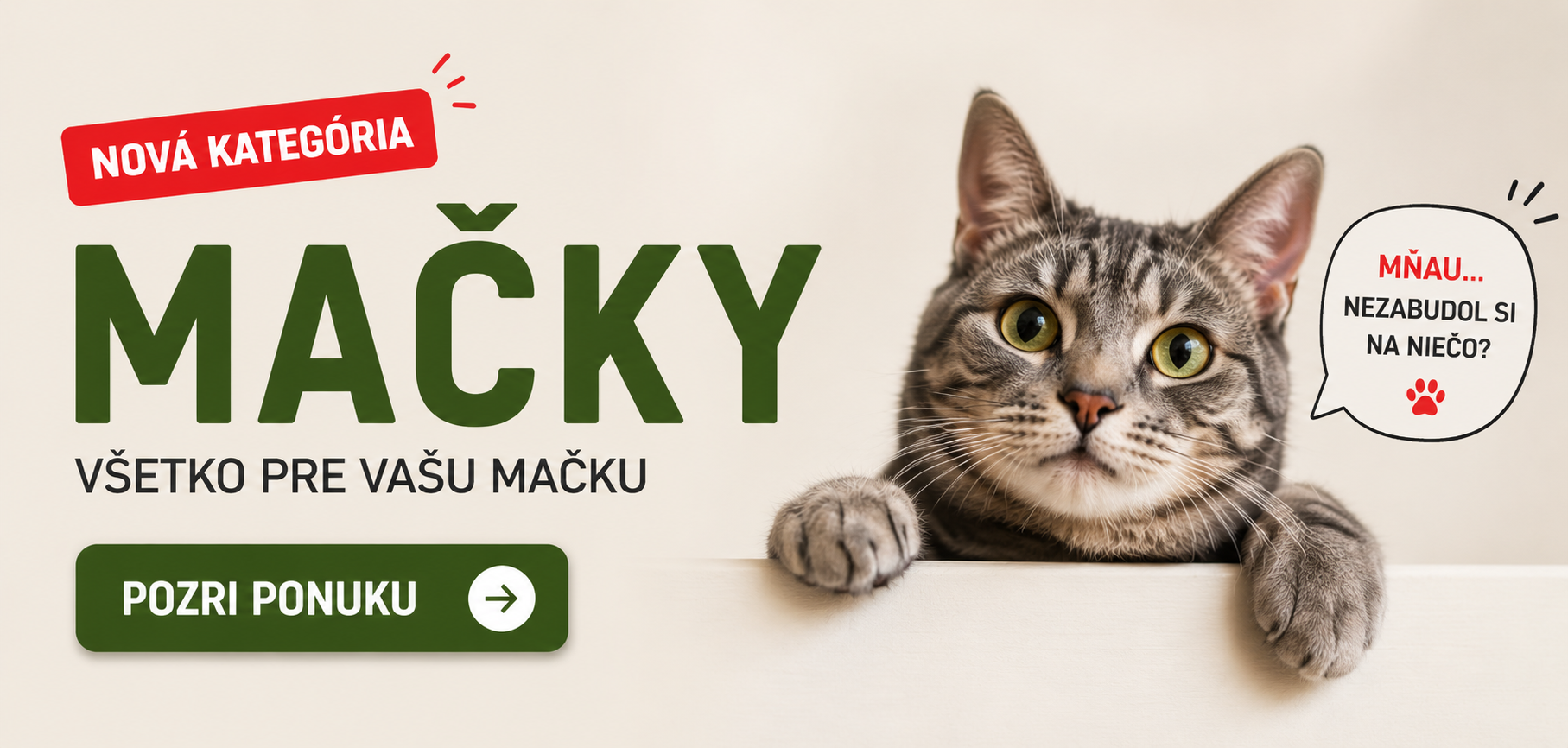 Mačky
