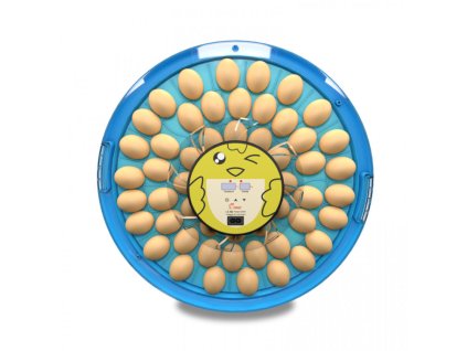 H4bf21a5adf3f4741b863a52bed3d32e6m 750x750
