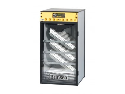 OE190 BRIN22 750x750