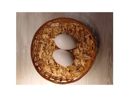 20240912 175213 750x750