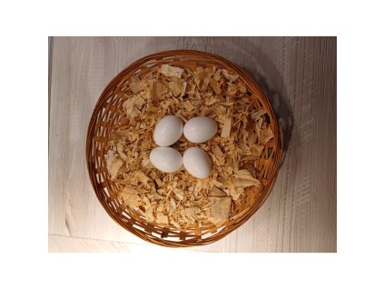 20240912 175437 750x750