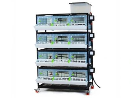 483 cimuka cb25 03 4k