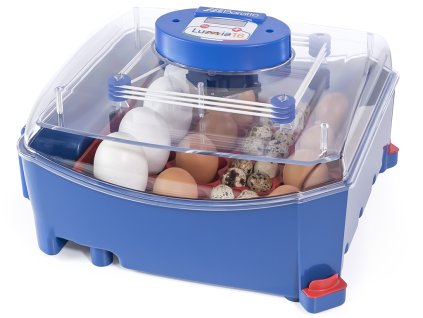 54 lumia 16 automatic obr1