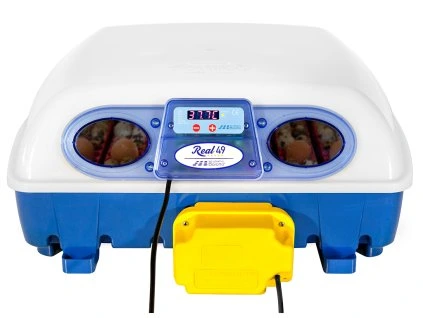 63 real 49 automatic obr1