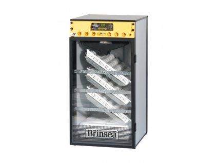 OE190 BRIN22 750x750