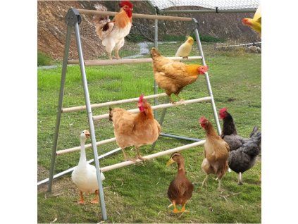 double perch 2 750x750