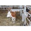 3270 2 drbadlo pruzinove kerbl texas 03