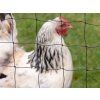 3493 6 ochranna siet proti dravcom kerbl 5x10m p7