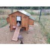 1677 9 polly duplex 4xl 4