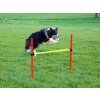 2988 6 agility prekazky set 3 kerbl 06