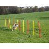 2988 7 agility prekazky set 3 kerbl 07