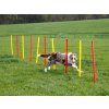 2988 9 agility prekazky set 3 kerbl 09