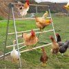 double perch 2 750x750
