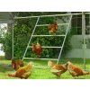 4825 7 hrad pro slepice pawhut d51 401v00nd 140x86cm 8