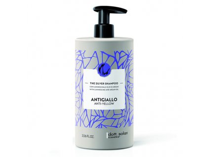 the silver shampoo 750 ml dott solari