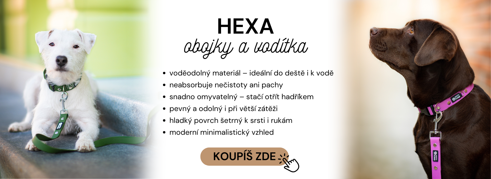 HEXA obojky a vodítka