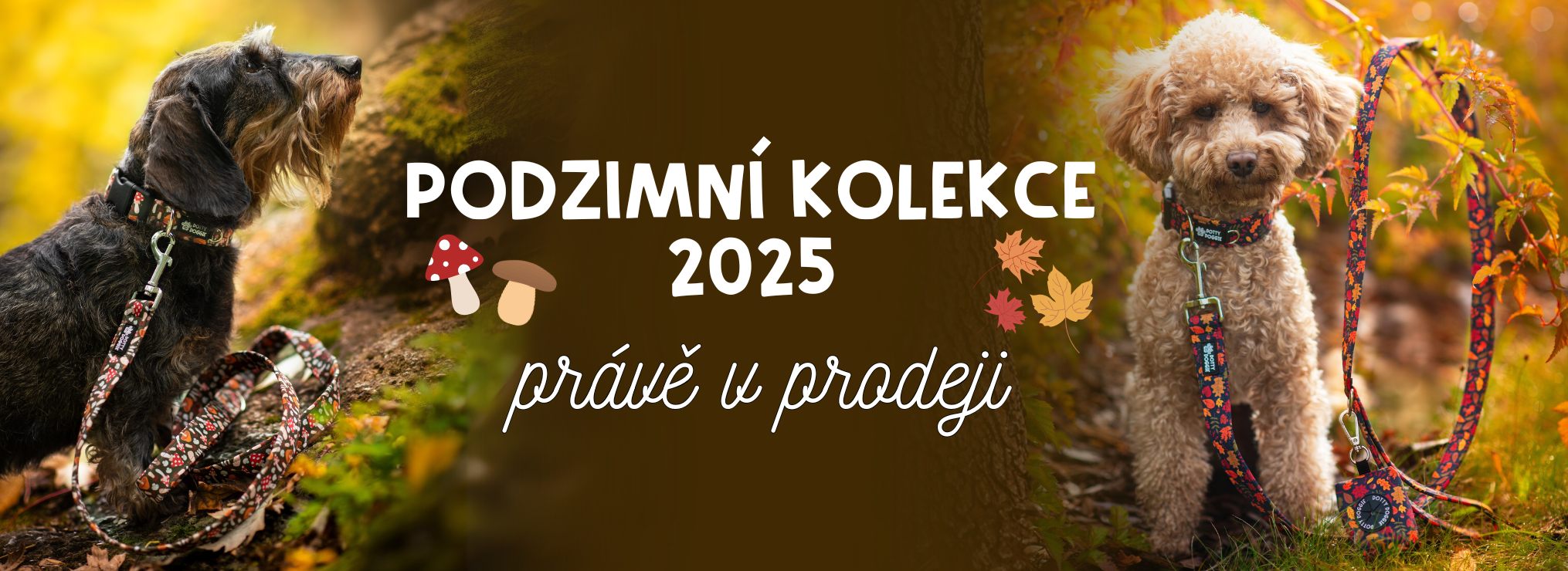 PODZIM 2025