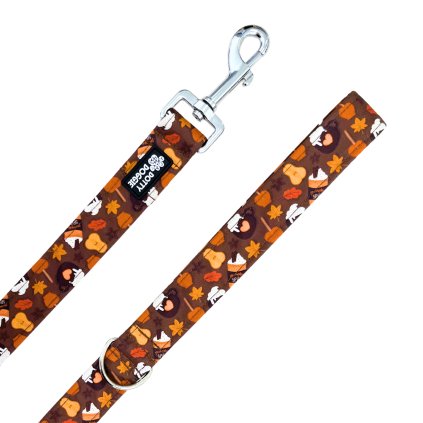 DottyDoggie.cz - vodítko PUMPKIN SPICE