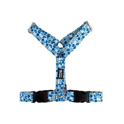 DottyDoggie.cz - postroj BORŮVKY