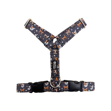 DottyDoggie.cz - postroj BULDOČCI