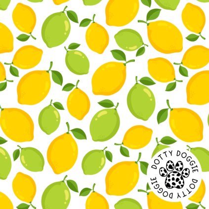 DottyDoggie.cz - postroj CITRÓNKY