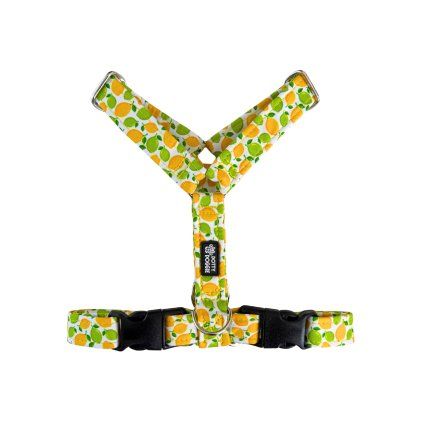 DottyDoggie.cz - postroj CITRÓNKY
