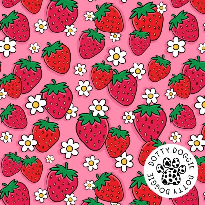 DottyDoggie.cz - postroj JAHŮDKY