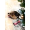 DottyDoggie.cz - obojek MERRY PINKMAS