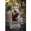 DottyDoggie.cz - obal doklady HARRY POTTER