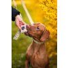 DottyDoggie.cz - obojek LUČNÍ KVÍTÍ
