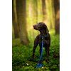 DottyDoggie.cz - obojek HEXA MODRÁ