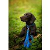 DottyDoggie.cz - obojek HEXA MODRÁ