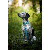 DottyDoggie.cz - obojek HEXA SVĚTLE MODRÁ