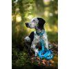 DottyDoggie.cz - obojek HEXA SVĚTLE MODRÁ