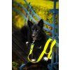 DottyDoggie.cz - vodítko HEXA NEONOVĚ ŽLUTÁ