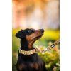 Polostahovací obojek - DOTTYROL SPRITZ