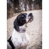 DottyDoggie.cz - obojek ČESKO