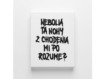 Plátno A3 - Nebolia ťa nohy z chodenia mi po rozume?
