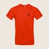 fire red (2)