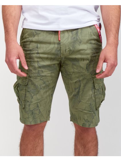 SAN TROPE Shorts Brown