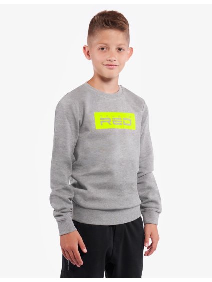 Sweatshirt BASIC™ KID Grey Neon
