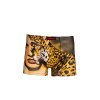 2FUN Boxers Face Off Leopard